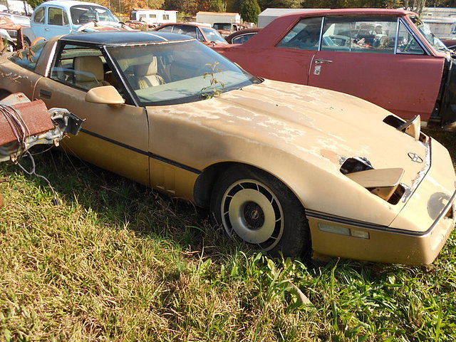1984 Chevrolet Corvette Photo