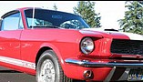 1966 Shelby GT350 Photo #6