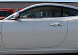 2009 Jaguar Coupe Photo #11