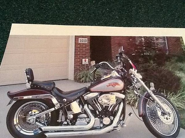 1994 Harley Davidson Fxstc Softail Custom Photo