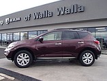2013 Nissan Murano Photo #1