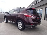 2013 Nissan Murano Photo #2