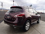2013 Nissan Murano Photo #4