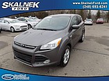 2013 Ford Escape Photo #2