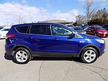 2013 Ford Escape Photo #4