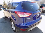 2013 Ford Escape Photo #9
