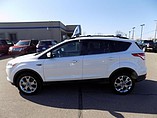 2013 Ford Escape Photo #6