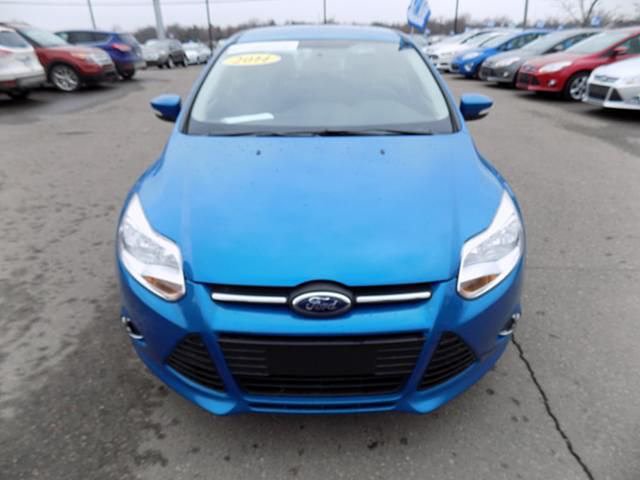 2014 Ford Focus Photo