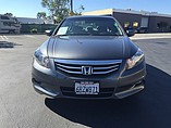 2011 Honda Accord Photo #6