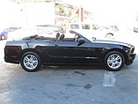 2014 Ford Mustang Photo #6