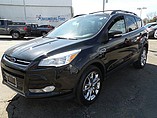 2013 Ford Escape Photo #1