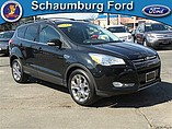 2013 Ford Escape Photo #3
