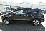 2013 Ford Escape Photo #4