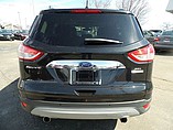 2013 Ford Escape Photo #7