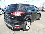 2014 Ford Escape Photo #6