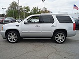 2014 Cadillac Escalade Photo #6