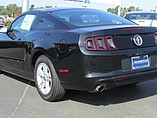 2014 Ford Mustang Photo #7