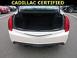 2013 Cadillac Ats Photo #10