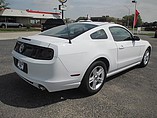2014 Ford Mustang Photo #5