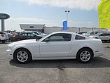 2014 Ford Mustang Photo #10