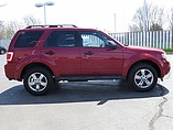 2012 Ford Escape Photo #7