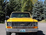 1973 Chevrolet Ck25 Photo #8
