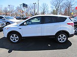 2014 Ford Escape Photo #6