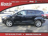 2014 Ford Escape Photo #2