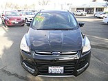 2014 Ford Escape Photo #4