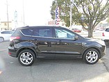 2014 Ford Escape Photo #6