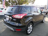 2014 Ford Escape Photo #10