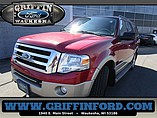2008 Ford Expedition Photo #2