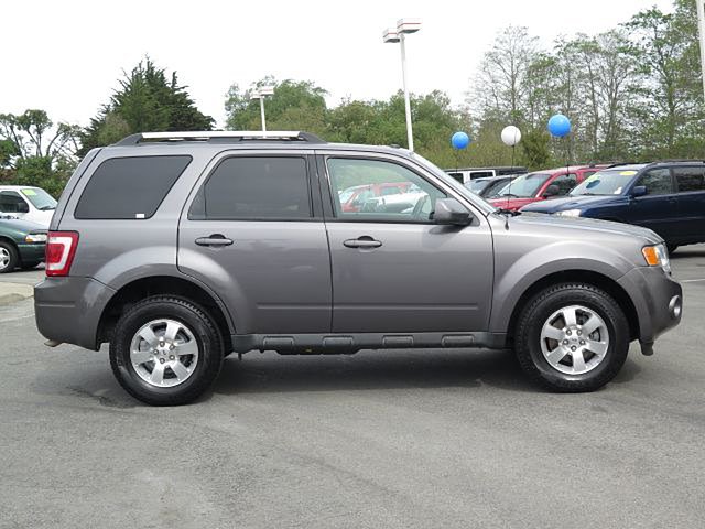 2010 Ford Escape Photo