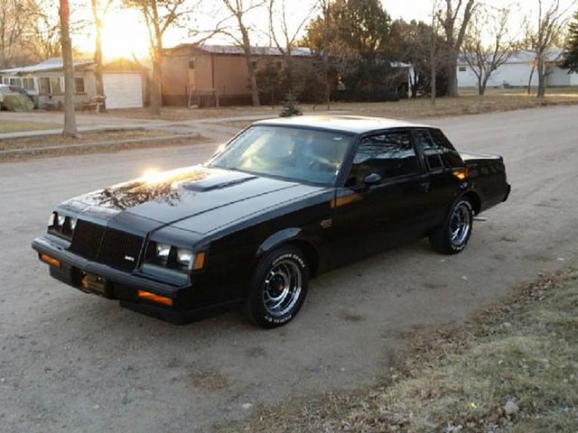 1987 Buick Grand National Photo