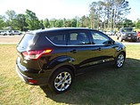 2013 Ford Escape Sel Fwd Photo #5