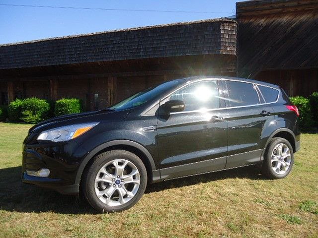 2013 Ford Escape Sel Fwd Photo