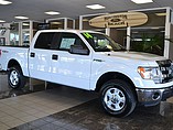 2014 Ford F-150 Photo #3