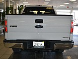 2014 Ford F-150 Photo #7