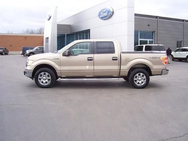 2011 Ford F-150 Photo