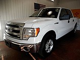 2014 Ford F-150 Photo #4