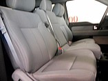 2014 Ford F-150 Photo #10