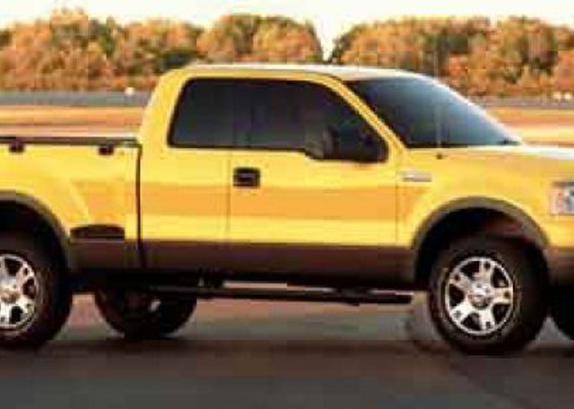 2004 Ford F-150 Photo