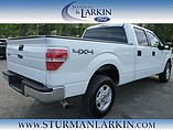 2014 Ford F-150 Photo #3