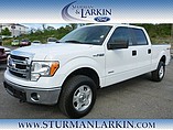 2014 Ford F-150 Photo #4