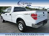 2014 Ford F-150 Photo #5