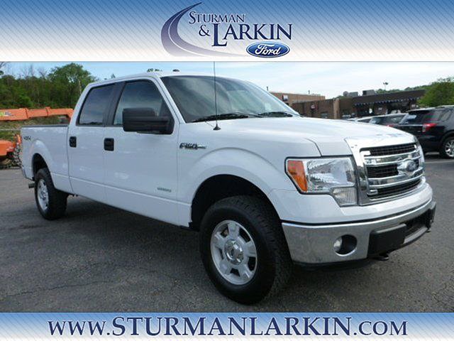 2014 Ford F-150 Photo