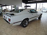 1969 Ford Mustang Photo #3
