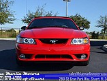 1999 Ford Mustang Cobra Photo #4