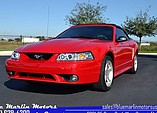 1999 Ford Mustang Cobra Photo #5