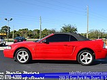 1999 Ford Mustang Cobra Photo #6